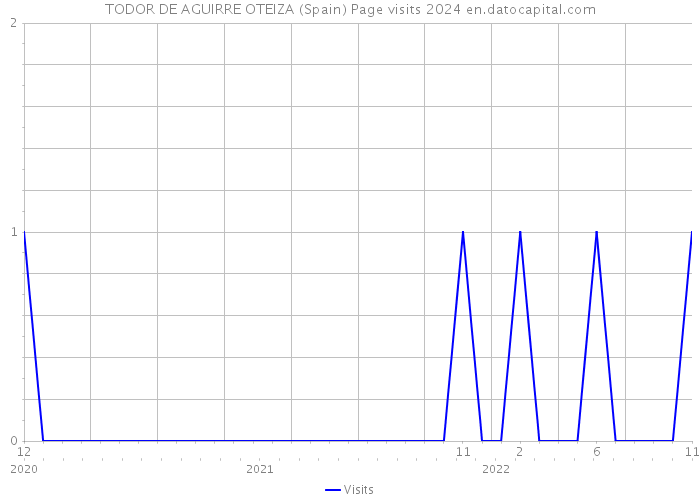 TODOR DE AGUIRRE OTEIZA (Spain) Page visits 2024 