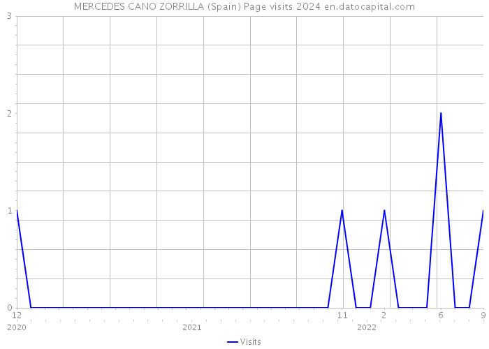 MERCEDES CANO ZORRILLA (Spain) Page visits 2024 