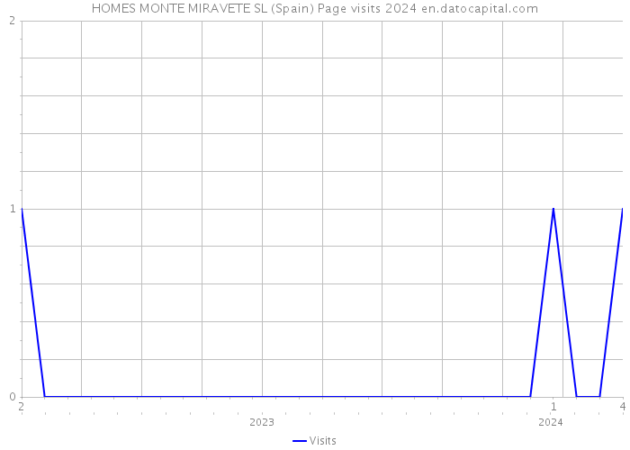 HOMES MONTE MIRAVETE SL (Spain) Page visits 2024 