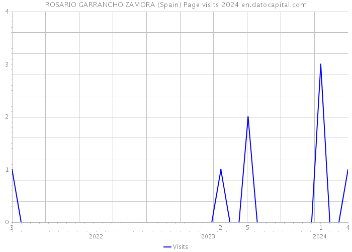 ROSARIO GARRANCHO ZAMORA (Spain) Page visits 2024 