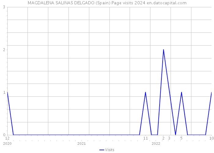 MAGDALENA SALINAS DELGADO (Spain) Page visits 2024 