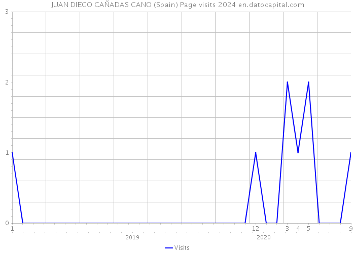 JUAN DIEGO CAÑADAS CANO (Spain) Page visits 2024 