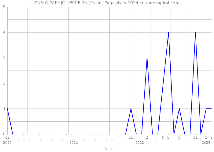 PABLO PARAJO NEGREIRA (Spain) Page visits 2024 
