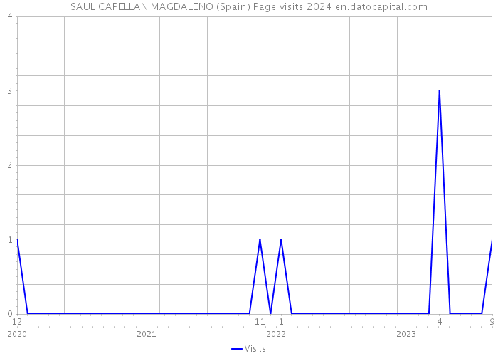 SAUL CAPELLAN MAGDALENO (Spain) Page visits 2024 