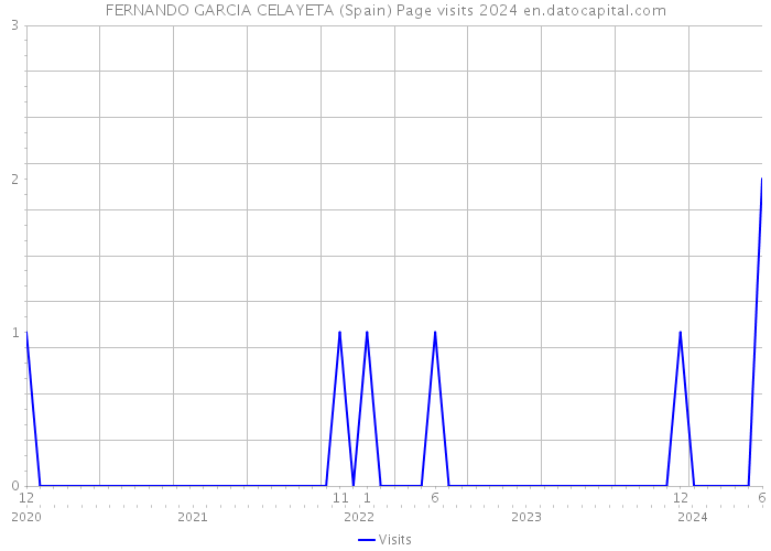 FERNANDO GARCIA CELAYETA (Spain) Page visits 2024 