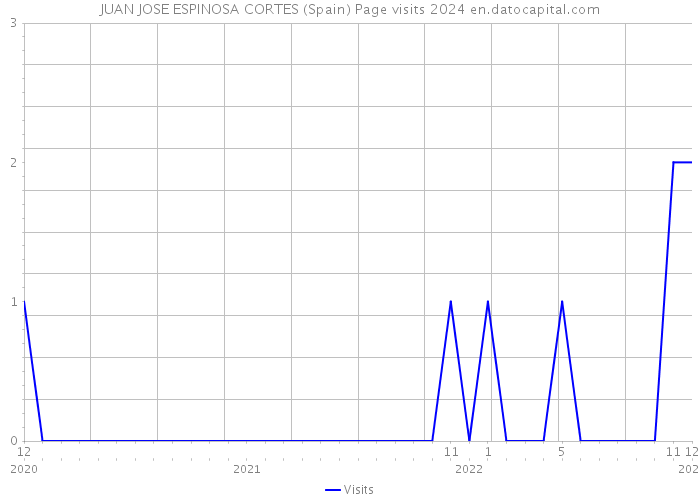 JUAN JOSE ESPINOSA CORTES (Spain) Page visits 2024 