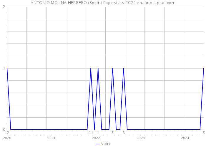 ANTONIO MOLINA HERRERO (Spain) Page visits 2024 