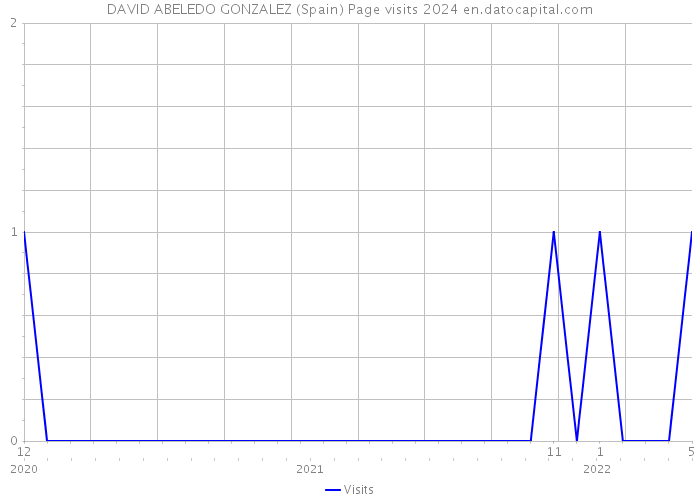 DAVID ABELEDO GONZALEZ (Spain) Page visits 2024 