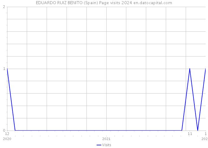 EDUARDO RUIZ BENITO (Spain) Page visits 2024 