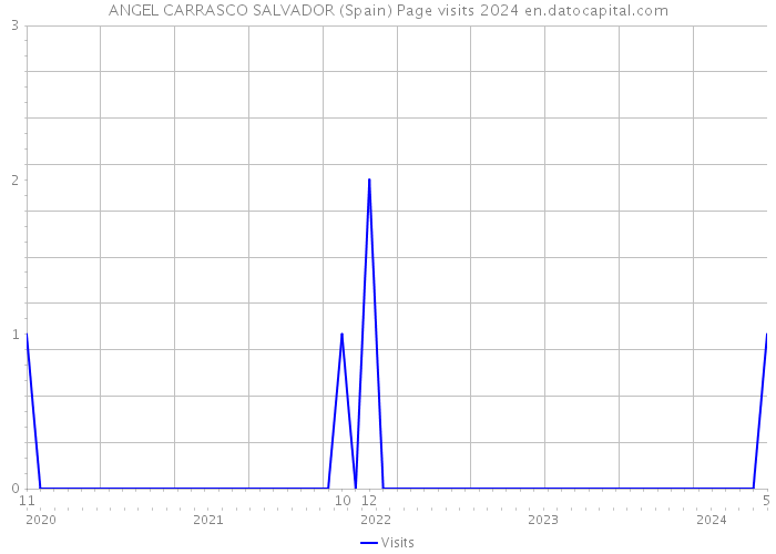 ANGEL CARRASCO SALVADOR (Spain) Page visits 2024 