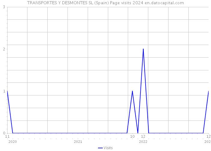 TRANSPORTES Y DESMONTES SL (Spain) Page visits 2024 