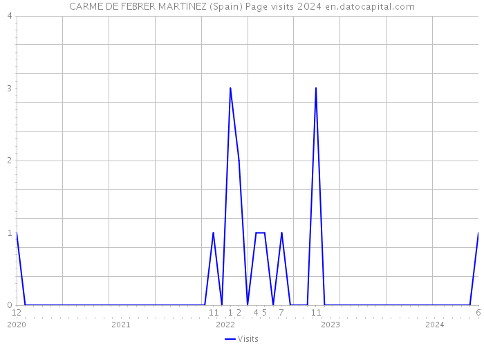 CARME DE FEBRER MARTINEZ (Spain) Page visits 2024 