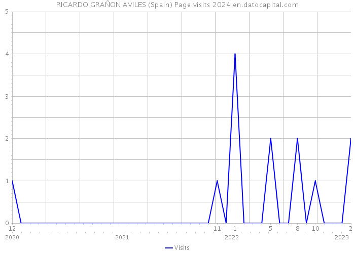RICARDO GRAÑON AVILES (Spain) Page visits 2024 