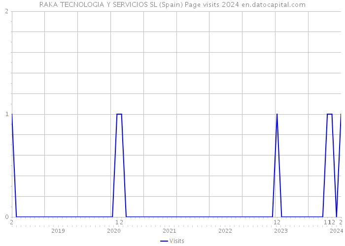 RAKA TECNOLOGIA Y SERVICIOS SL (Spain) Page visits 2024 