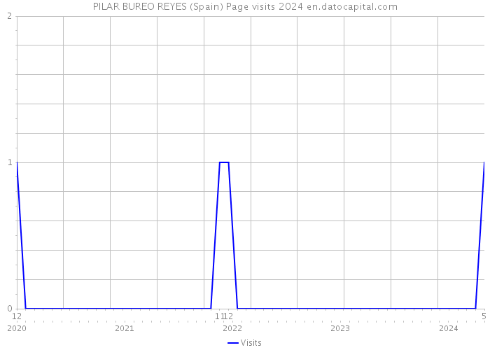 PILAR BUREO REYES (Spain) Page visits 2024 
