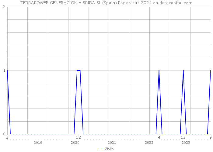 TERRAPOWER GENERACION HIBRIDA SL (Spain) Page visits 2024 