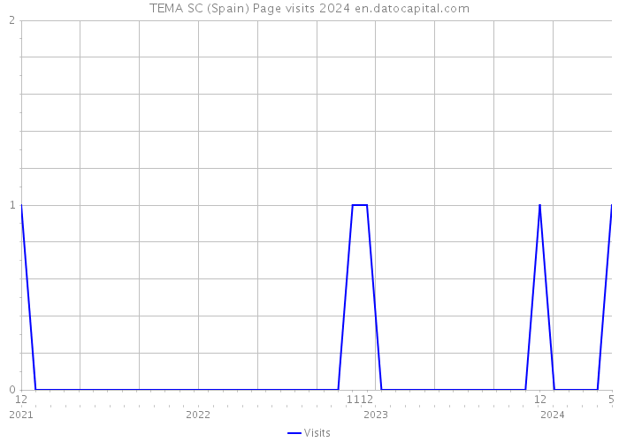 TEMA SC (Spain) Page visits 2024 