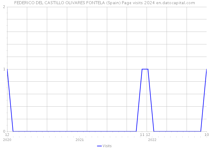 FEDERICO DEL CASTILLO OLIVARES FONTELA (Spain) Page visits 2024 