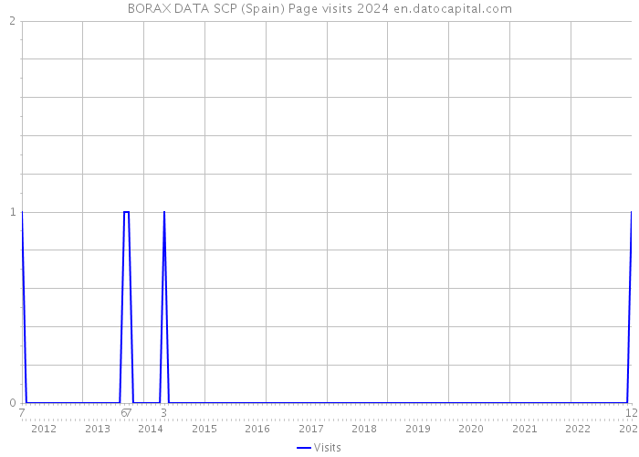 BORAX DATA SCP (Spain) Page visits 2024 