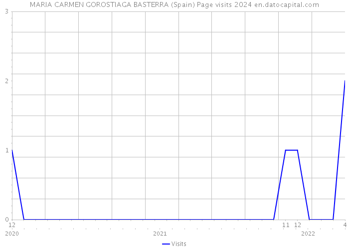 MARIA CARMEN GOROSTIAGA BASTERRA (Spain) Page visits 2024 