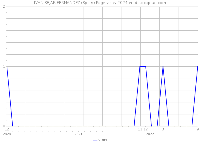 IVAN BEJAR FERNANDEZ (Spain) Page visits 2024 