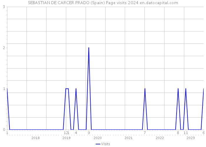 SEBASTIAN DE CARCER PRADO (Spain) Page visits 2024 