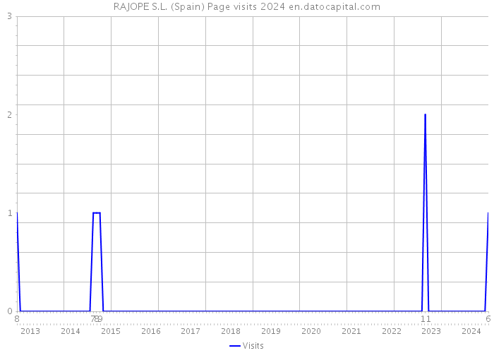 RAJOPE S.L. (Spain) Page visits 2024 