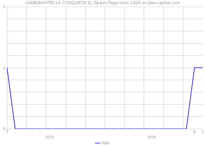 CARBURANTES LA CONQUISTA SL (Spain) Page visits 2024 