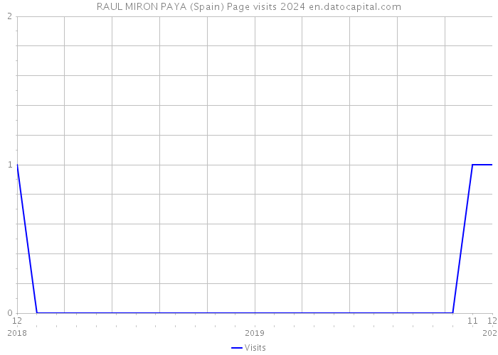 RAUL MIRON PAYA (Spain) Page visits 2024 