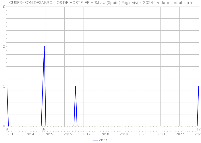 GUSER-SON DESARROLLOS DE HOSTELERIA S.L.U. (Spain) Page visits 2024 
