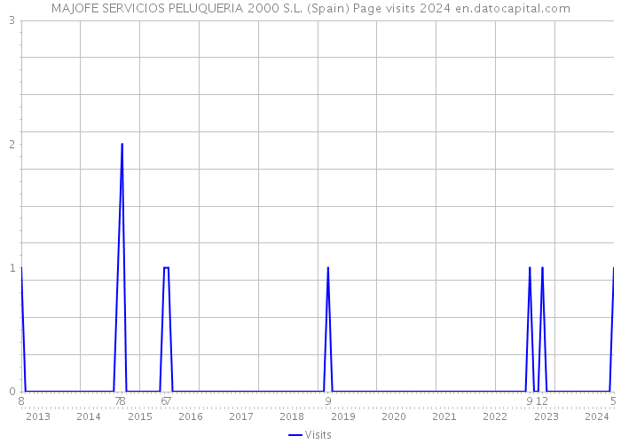 MAJOFE SERVICIOS PELUQUERIA 2000 S.L. (Spain) Page visits 2024 