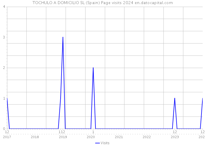 TOCHULO A DOMICILIO SL (Spain) Page visits 2024 