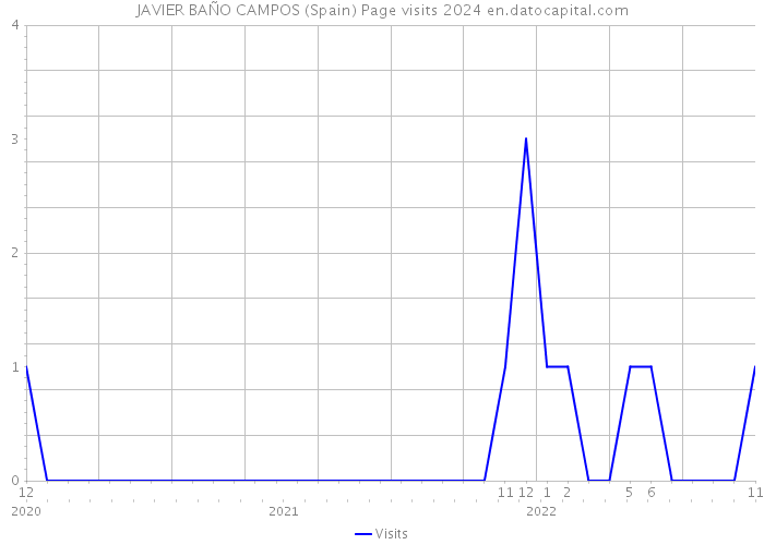 JAVIER BAÑO CAMPOS (Spain) Page visits 2024 