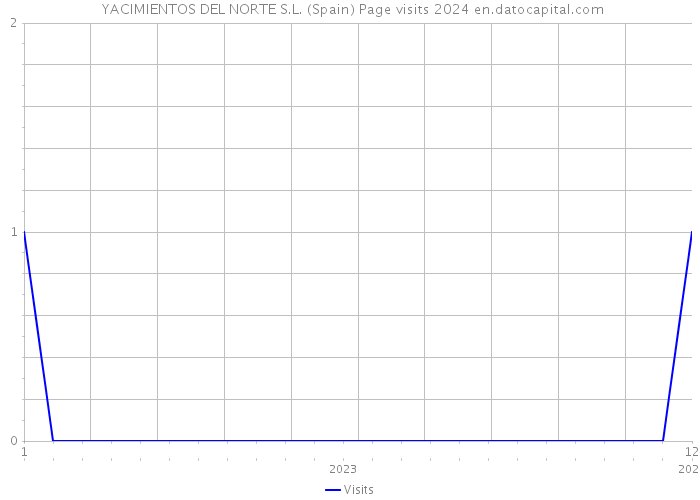  YACIMIENTOS DEL NORTE S.L. (Spain) Page visits 2024 