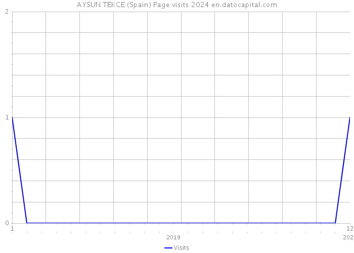 AYSUN TEKCE (Spain) Page visits 2024 