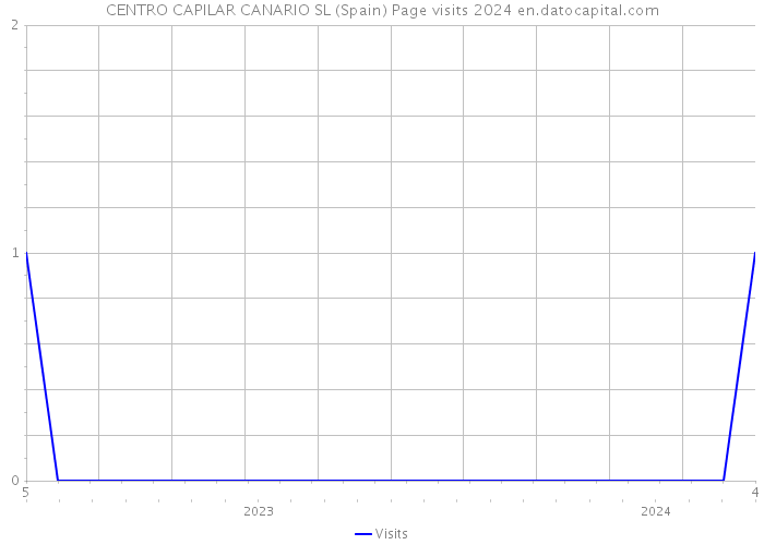 CENTRO CAPILAR CANARIO SL (Spain) Page visits 2024 