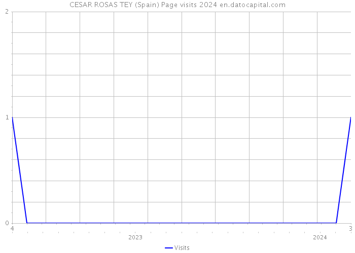 CESAR ROSAS TEY (Spain) Page visits 2024 