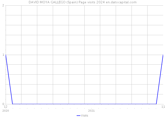 DAVID MOYA GALLEGO (Spain) Page visits 2024 