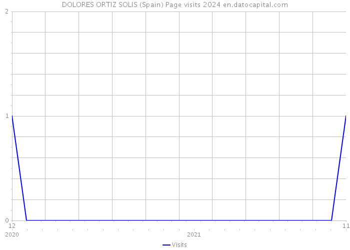 DOLORES ORTIZ SOLIS (Spain) Page visits 2024 