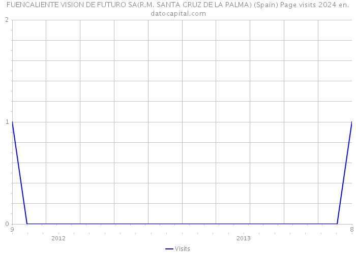 FUENCALIENTE VISION DE FUTURO SA(R.M. SANTA CRUZ DE LA PALMA) (Spain) Page visits 2024 