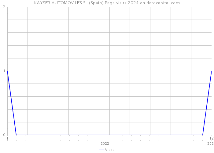 KAYSER AUTOMOVILES SL (Spain) Page visits 2024 