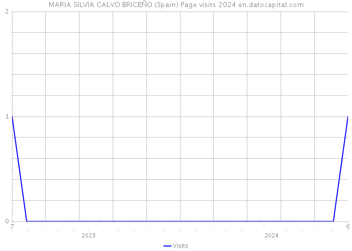 MARIA SILVIA CALVO BRICEÑO (Spain) Page visits 2024 