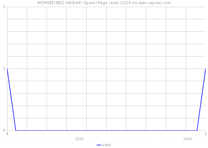 MOHSEN BEIZ HAIDAR (Spain) Page visits 2024 