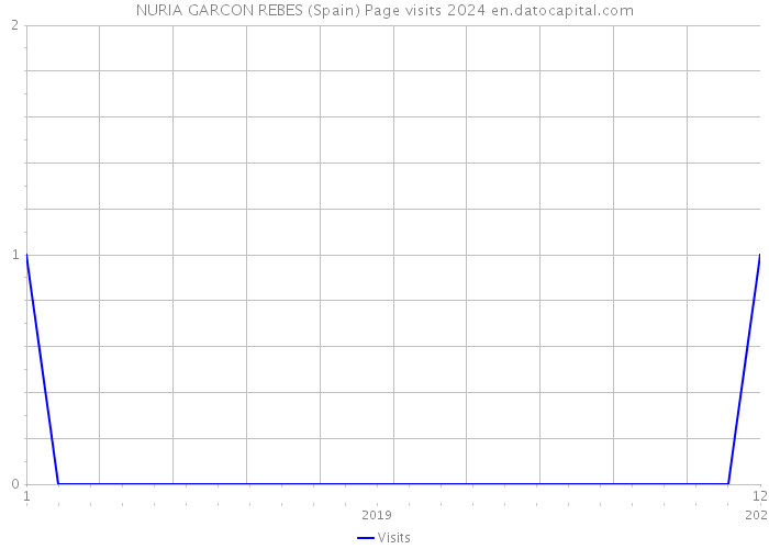 NURIA GARCON REBES (Spain) Page visits 2024 