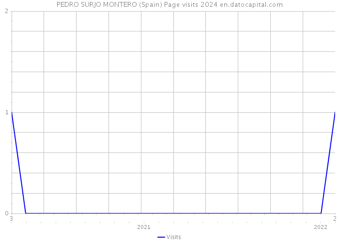 PEDRO SURJO MONTERO (Spain) Page visits 2024 