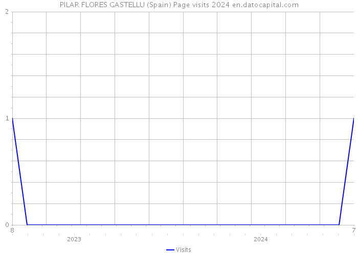 PILAR FLORES GASTELLU (Spain) Page visits 2024 