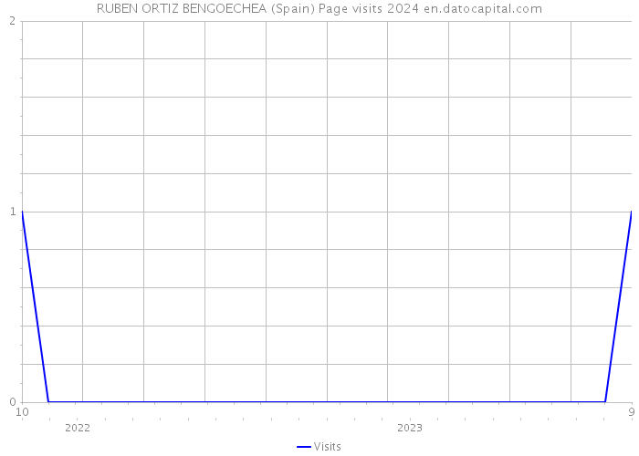 RUBEN ORTIZ BENGOECHEA (Spain) Page visits 2024 