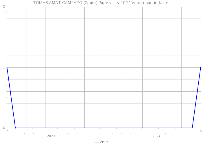 TOMAS AMAT CAMPAYO (Spain) Page visits 2024 
