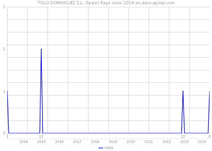 TOLO DOMINGUEZ S.L. (Spain) Page visits 2024 