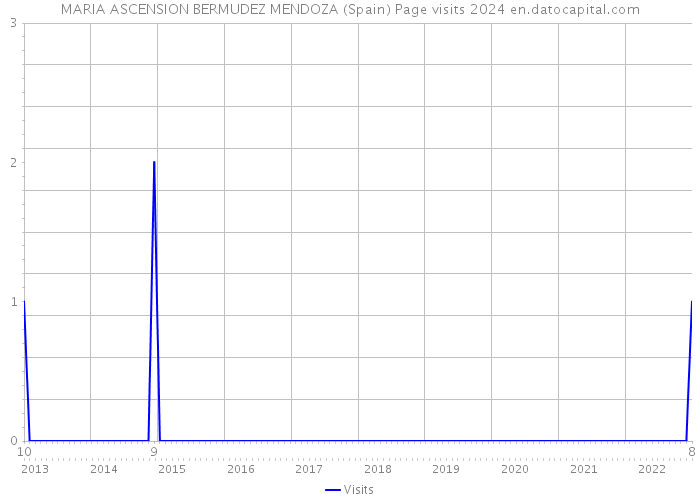 MARIA ASCENSION BERMUDEZ MENDOZA (Spain) Page visits 2024 
